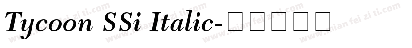 Tycoon SSi Italic字体转换